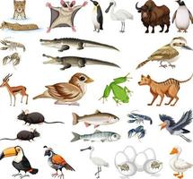 colección de diferentes tipos de animales vector