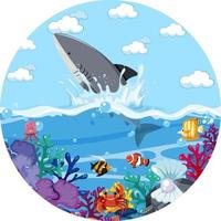 A water splash scene with shark on white background vector