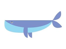 Blue cute whale isolated marine animal , Vector illustration