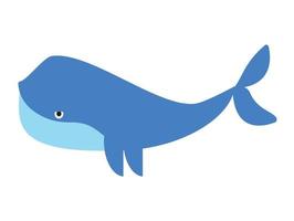 Blue cute whale isolated marine animal , Vector illustration