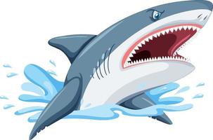 dibujos animados agresivos de gran tiburón blanco vector