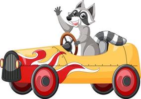 Raccoon driving car cartoon character vector