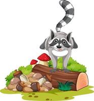 Raccoon standing on log vector