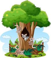 Scene with sugar gliders in forest vector