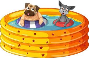 A Happy dog with rubber ring in Inflatable pool on white background vector