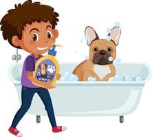 A boy washing her french bulldog vector