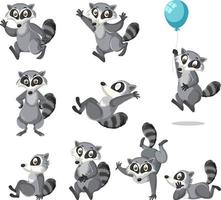 A set of raccoons on white background vector