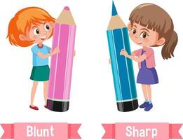 Opposite English Words blunt and sharp vector