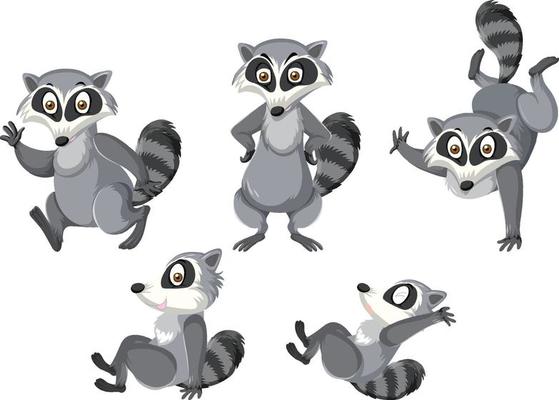 Free raccoon - Vector Art
