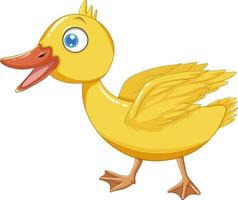 Little duck with yellow feather vector