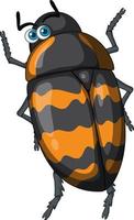 A beetle cartoon character isolated vector