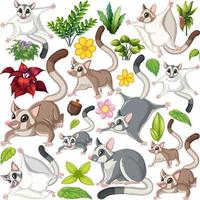 Many colors of sugar gliders vector