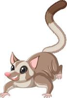 A cute cute sugar glider cartoon character vector