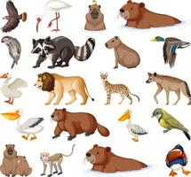 colección de diferentes tipos de animales vector