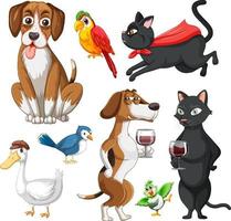 Set of different domestic animals on white background vector