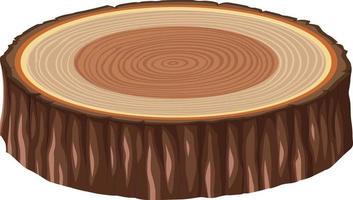 Anatomy of tree trunk vector