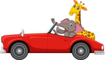 animales de dibujos animados en el coche rojo vector