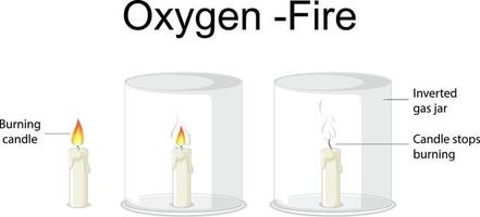 Oxygen and fire science experiment vector