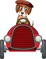 A beagle dog driving car toy vector