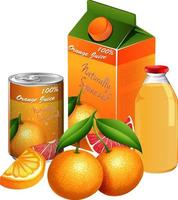 Conjunto de productos de naranja sobre fondo blanco.