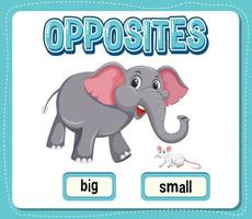 Opposite words for big and small vector