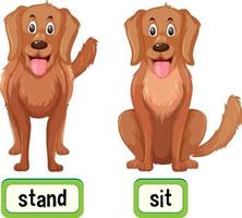 Opposite words for stand and sit vector