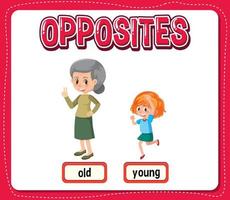 Opposite words for old and young vector