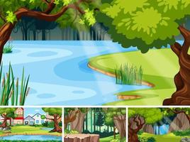 Nature scene with many trees and pond vector