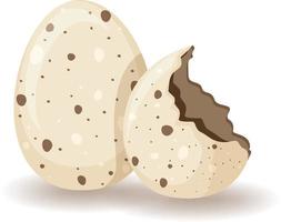 Egg shell cracking on white background vector