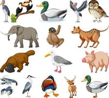 colección de diferentes tipos de animales vector