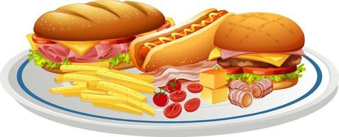 Different fastfood set in a plate vector