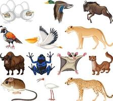 colección de diferentes tipos de animales vector