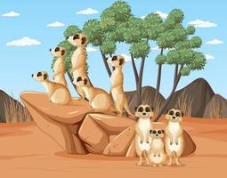 escena del desierto con un grupo de suricatas vector