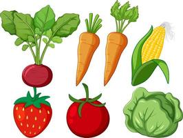 conjunto de dibujos animados de diferentes verduras vector