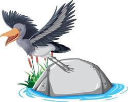 Heron bird standing on stone on white background vector