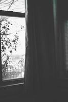 Bedroom View, Black and White photo