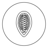 Cacao bob beans Cocoa fruit Chocolate seeds icon in circle round outline black color vector illustration flat style image