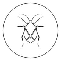 insecto chinche chinch insectos verdaderos hemípteros icono de plaga de insectos en círculo contorno redondo color negro ilustración vectorial imagen de estilo plano vector