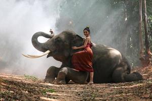 Elephant with beautiful girl in asian countryside, Thailand - Thai elephant and pretty woman with traditional dress in Surin region
