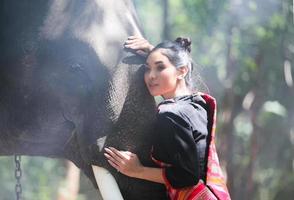 Elephant with beautiful girl in asian countryside, Thailand - Thai elephant and pretty woman with traditional dress in Surin region