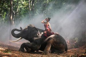 elefante de silueta de campo de tailandia en el fondo de la puesta de sol, elefante tailandés en surin tailandia. foto