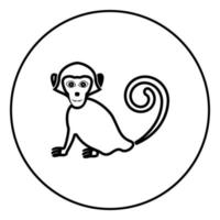 Monkey icon in circle outline vector illustration