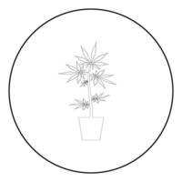 Pot of marijuana Cannabic in pot Hemp icon in circle round outline black color vector illustration flat style image