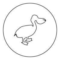 Pelican bird Seabird Waterbird silhouette in circle round black color vector illustration contour outline style image
