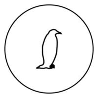 icono de pingüino en la ilustración de vector de contorno de círculo