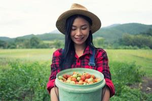 granjero sonriente en el campo de tomate foto
