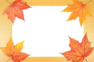 hojas de otoño y hoja de papel foto