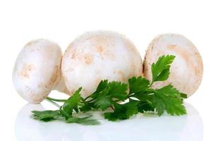 champignon mushroom and parsley photo