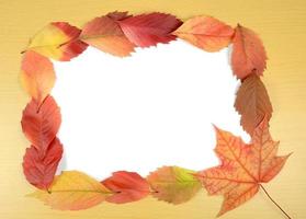 hojas de otoño y hoja de papel foto