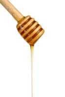 honey flowing down from a wooden stick photo